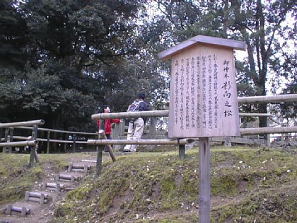 PIC00001.jpg