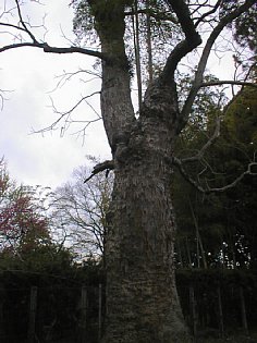 PIC00003.jpg