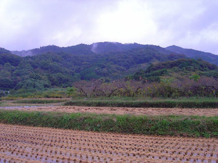 pict227.jpg