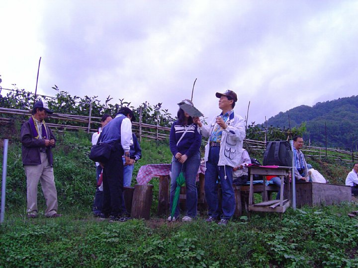 pict228.jpg