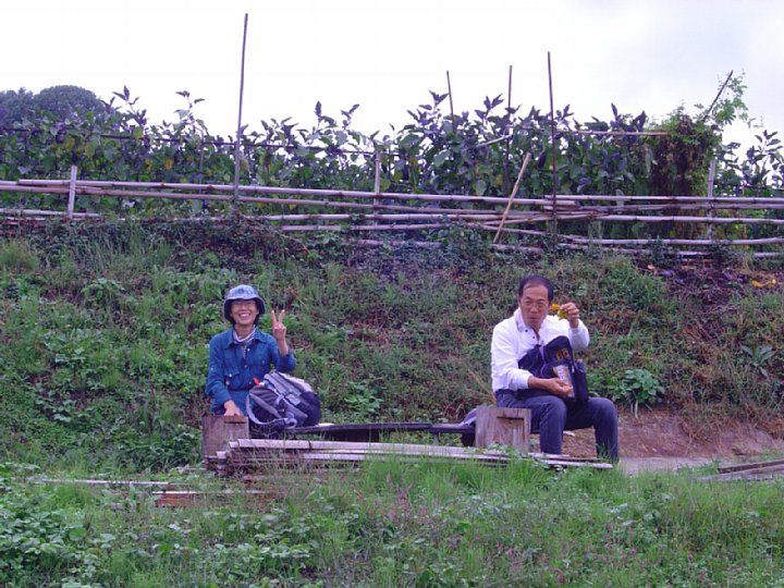 pict229.jpg