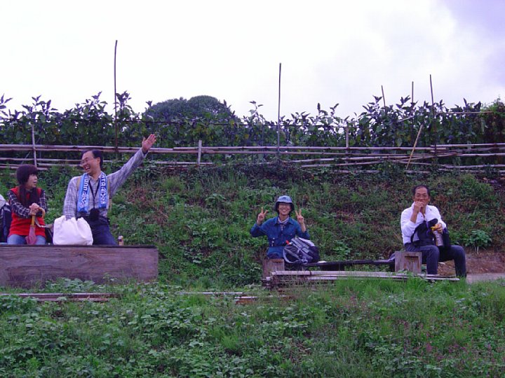pict230.jpg