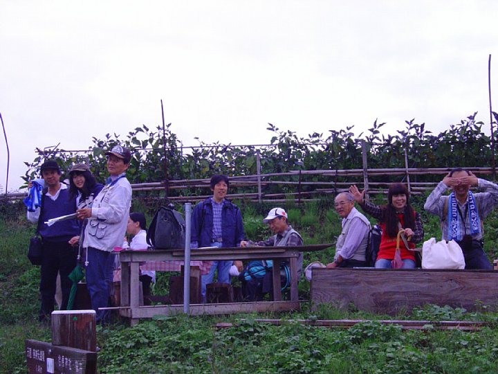 pict231.jpg