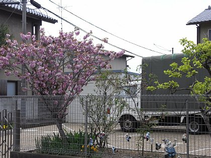 RIMG0079.JPG