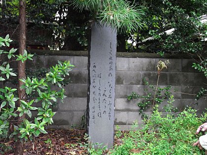 RIMG0096.JPG