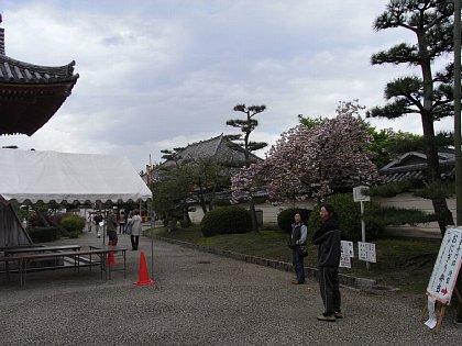 RIMG0108.JPG