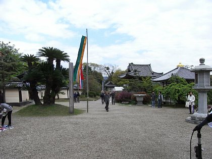RIMG0111.JPG
