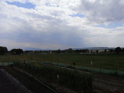 RIMG0132.JPG