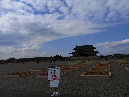 RIMG0158.JPG