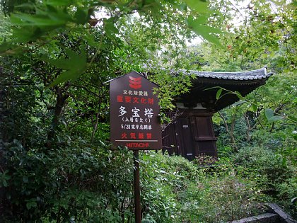 FILE0019.jpg