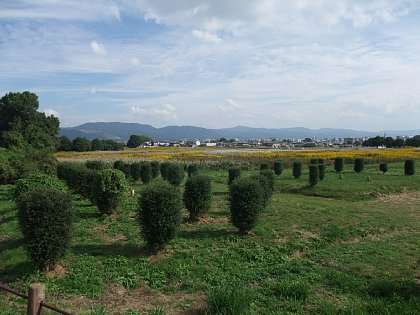 FILE0035.jpg