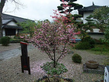 DSCF6134.JPG