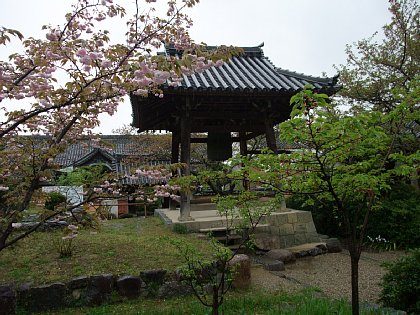 DSCF6136.JPG
