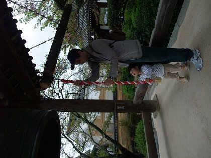 DSCF6141.JPG