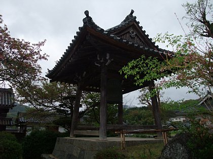 DSCF6146.JPG