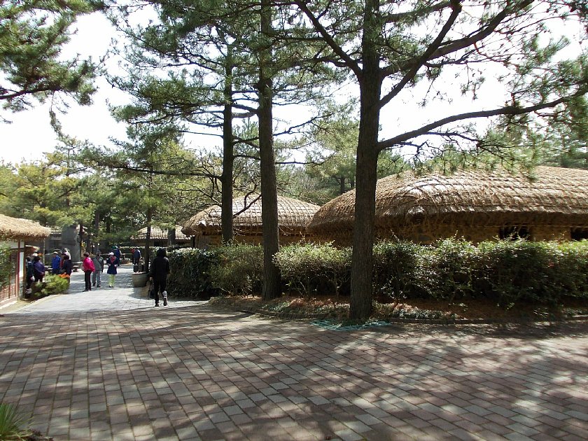 pict004.jpg