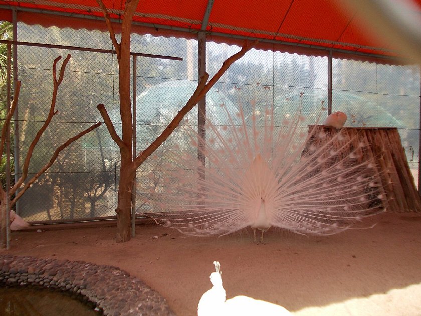 pict006.jpg