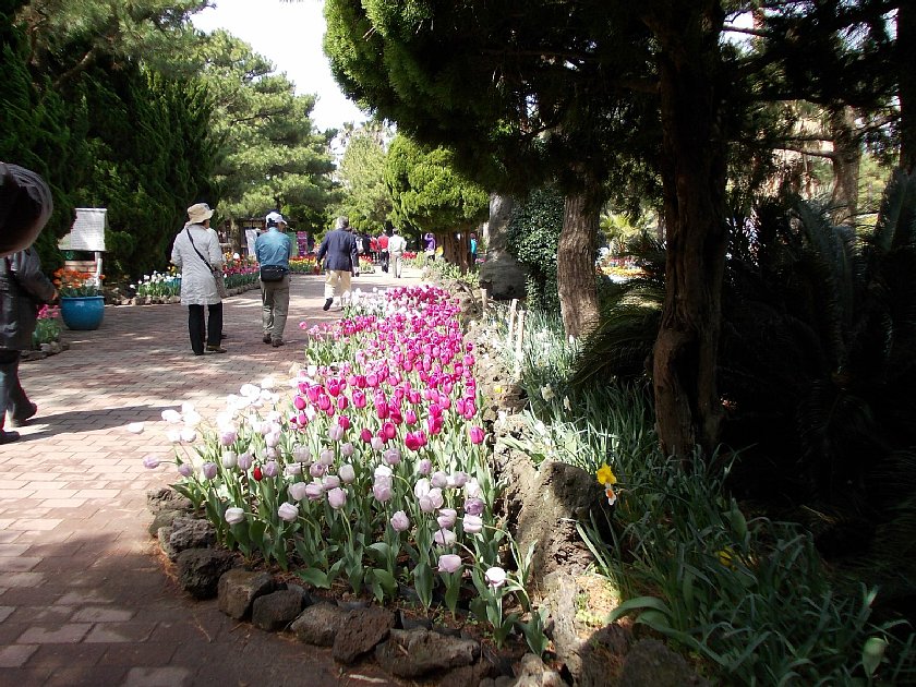 pict009.jpg