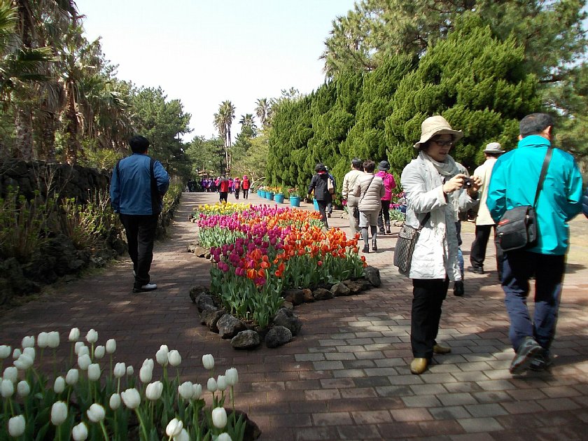 pict010.jpg