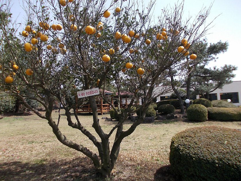 pict019.jpg