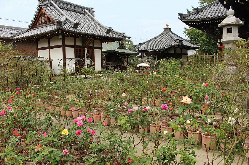 pict010.JPG