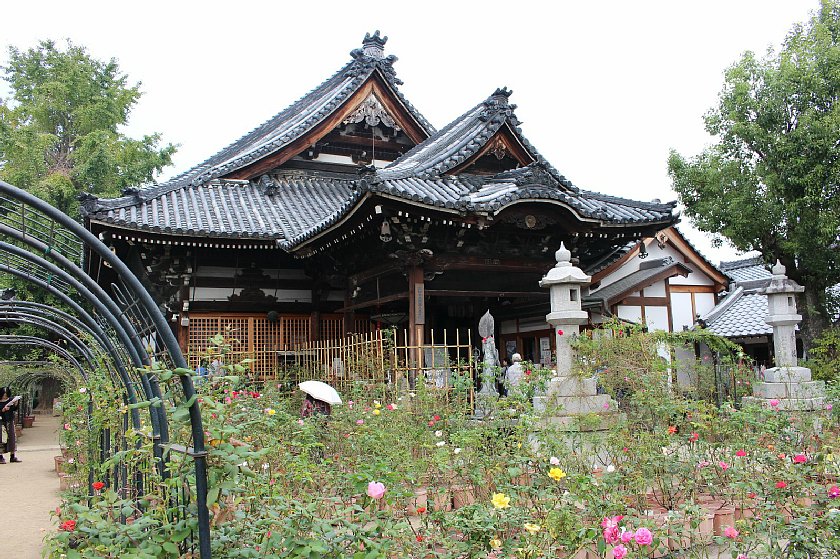 pict011.JPG