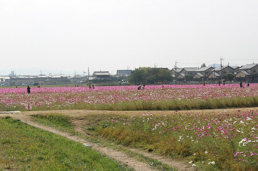 pict016.JPG