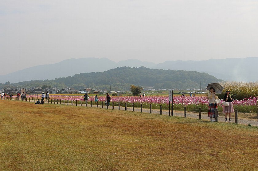 pict018.JPG