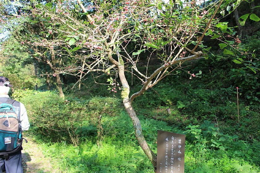 pict038.JPG