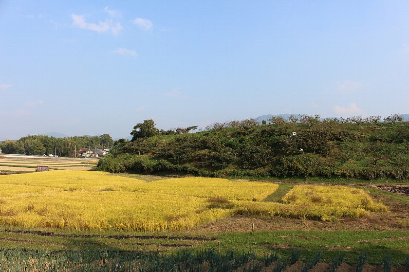 pict039.JPG