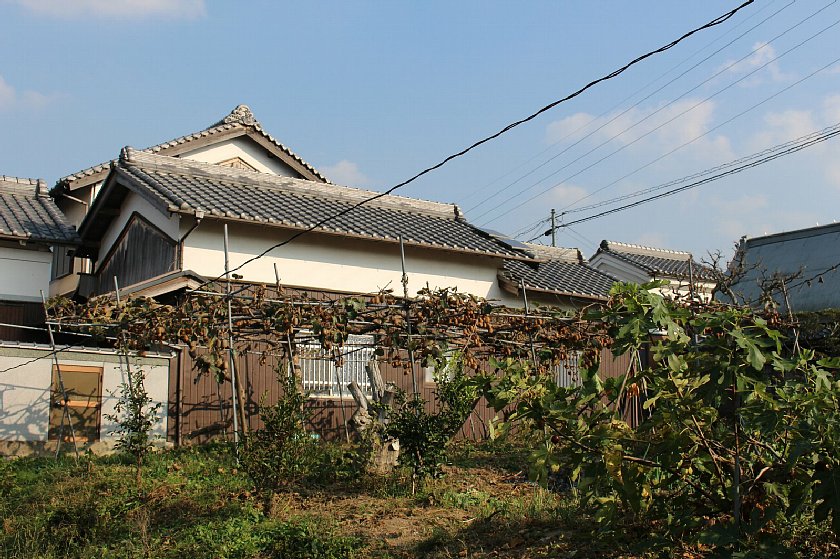 pict044.JPG
